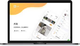 指尖上的艺术 探索网页与网站设计作品小集